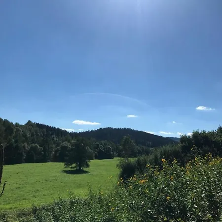 U Certova Mlyna Hořice na Šumavě